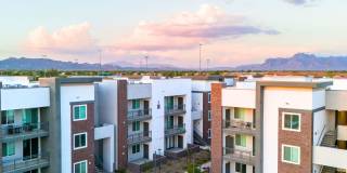 The Aster at Mountain Vista - BRAND NEW Gallery 41