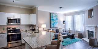 Radius Turtle Creek Gallery 8