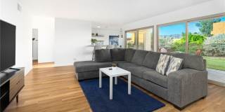 80071 Palm Circle Drive Gallery 15