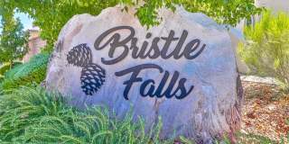 6765 Bristle Falls Street Gallery 54