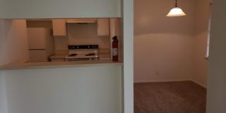 Forest Ridge Gallery 64
