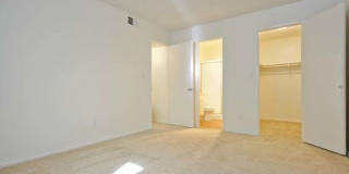 Villa Del Sol Gallery 14