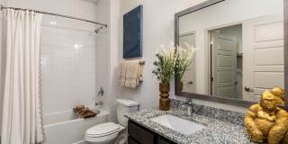 Eightyone10 Blue Goose Gallery 10