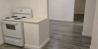 29 Douglas Ave Gallery 1
