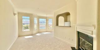 Stunning 1 Bedroom in Marina with Parking Gallery 1