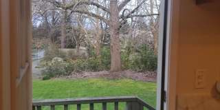 Apartment Availabile, near Children's Hospital and University of Washington Gallery 3