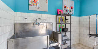 Vera Luxury Living Gallery 22