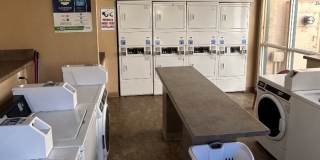 Laurel Lane Gallery 14