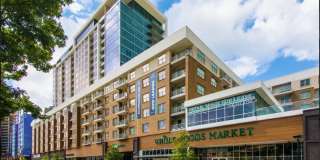 The Francis Gallery 25