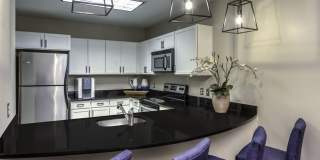 Pearson Square Gallery 21