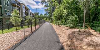 Sugarloaf Walk Gallery 28