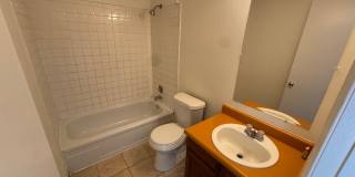 Live in the Timbers Gallery 16