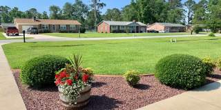 Charming Updated Home, Quiet Street Near Base, Fenced Yard! Gallery 3