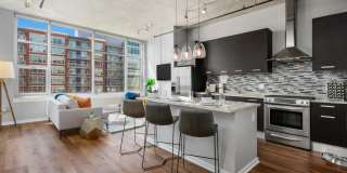 Roosevelt Collection Lofts Gallery 26