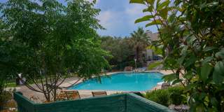 Adorable 2 bedroom townhome style Condo Gallery 29