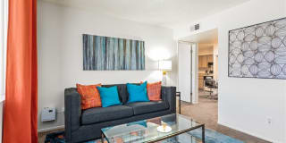 Portola West McDowell Gallery 25