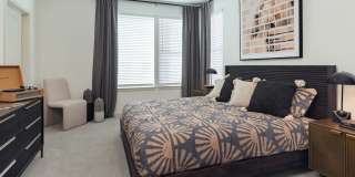 Vireo Medical District Gallery 15
