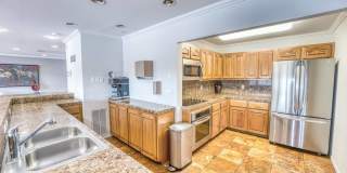 Juniper Springs Gallery 12