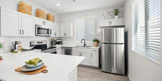 Canopy at Sundance Gallery 59