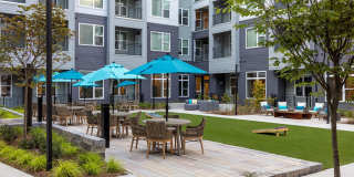 The Blake Optimist Park Gallery 41