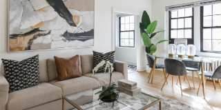 The Dahlia Gallery 10