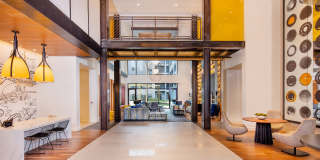 Scout on the Circle Gallery 15