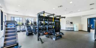 The Hayley Gallery 1