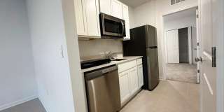 339 PUMA LOOP Gallery 25