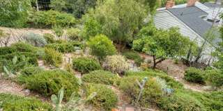 FALL IN LOVE with a Woodland Hills View Gallery 57