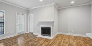 Carrara at Cole Gallery 8