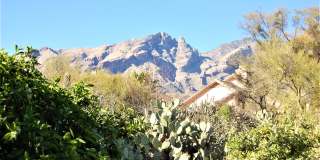 4049 East Via Del Mirlillo Gallery 29