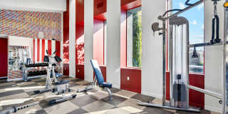 Terraces at Glassford Hill Gallery 17