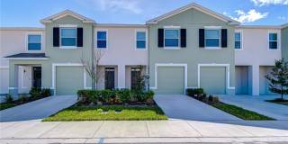 17212 BIGLEAF MAHOGANY LANE Gallery 1