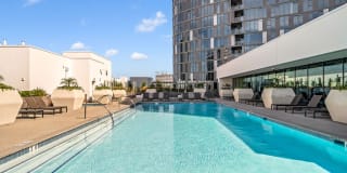 Kurve on Wilshire Kurve on Wilshire Gallery 30