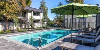 Terra Vida Gallery 4