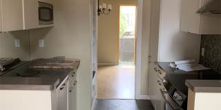 710 Copeland Street - 1#16 Gallery 3