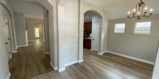 10025 Mount Rainier Gallery 4