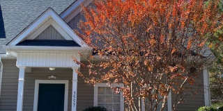 3557 Creeping Flora Lane Gallery 1
