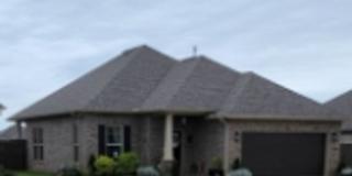 Coming Soon!! Gallery 1