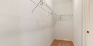 Palmetto Creek Gallery 12