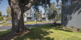 Cypress Creek Gallery 35