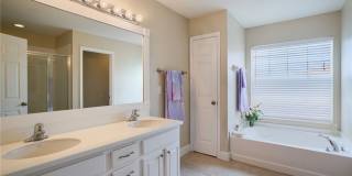 2059 Willow Branch Drive Gallery 12