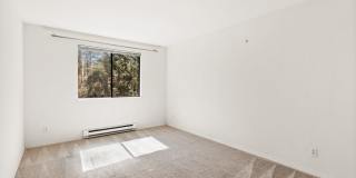 Modern 2-Bedroom Condo in Shoreline with Stylish Finishes Gallery 20
