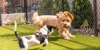 Harper Apartments Gallery 47