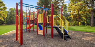 Lake Houston Pines Gallery 12