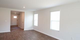 123 Painted Lady Loop Gallery 6