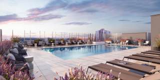 The Leaf The Leaf Gallery 1