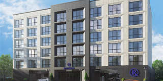 Royal Blue Gallery 1