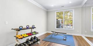 Lake St. James Gallery 10