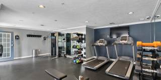 Greenhouse Gallery 7